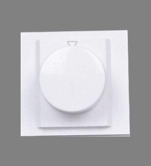 250 W Electronic Dimmer (2M)