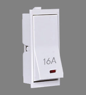 Precision 32 A DP Switch with Indicator - 2M