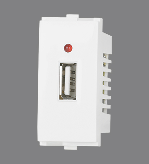 2.4 A USB Socket