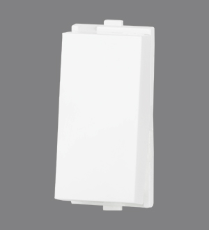 Blank Plate