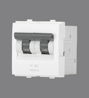 32 Amp MCB DP