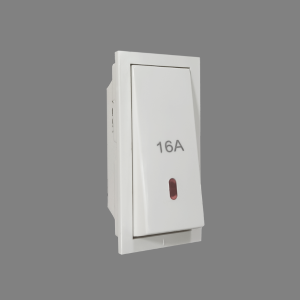 Precision 32 A DP Switch with Indicator - 2M